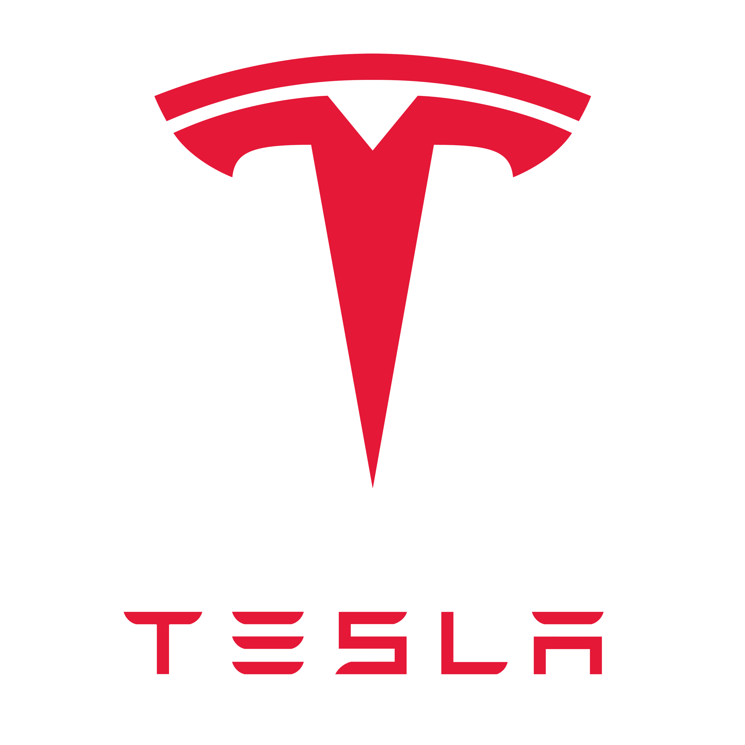 Tesla Investment